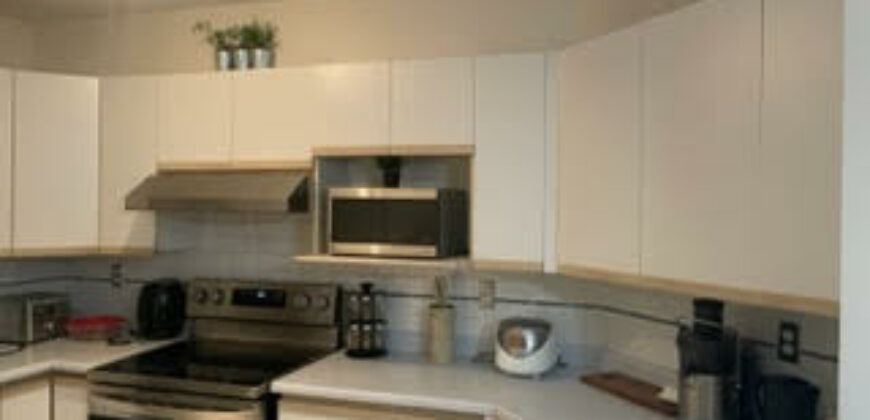 FULLY FURNISHED 1 bed condo in Port Coquitlam